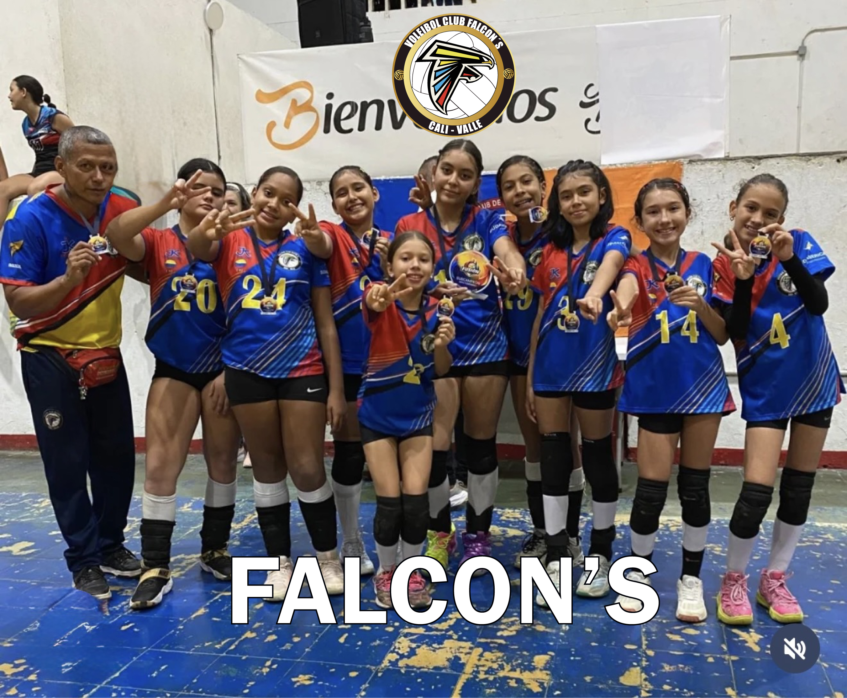 Escuela falcons